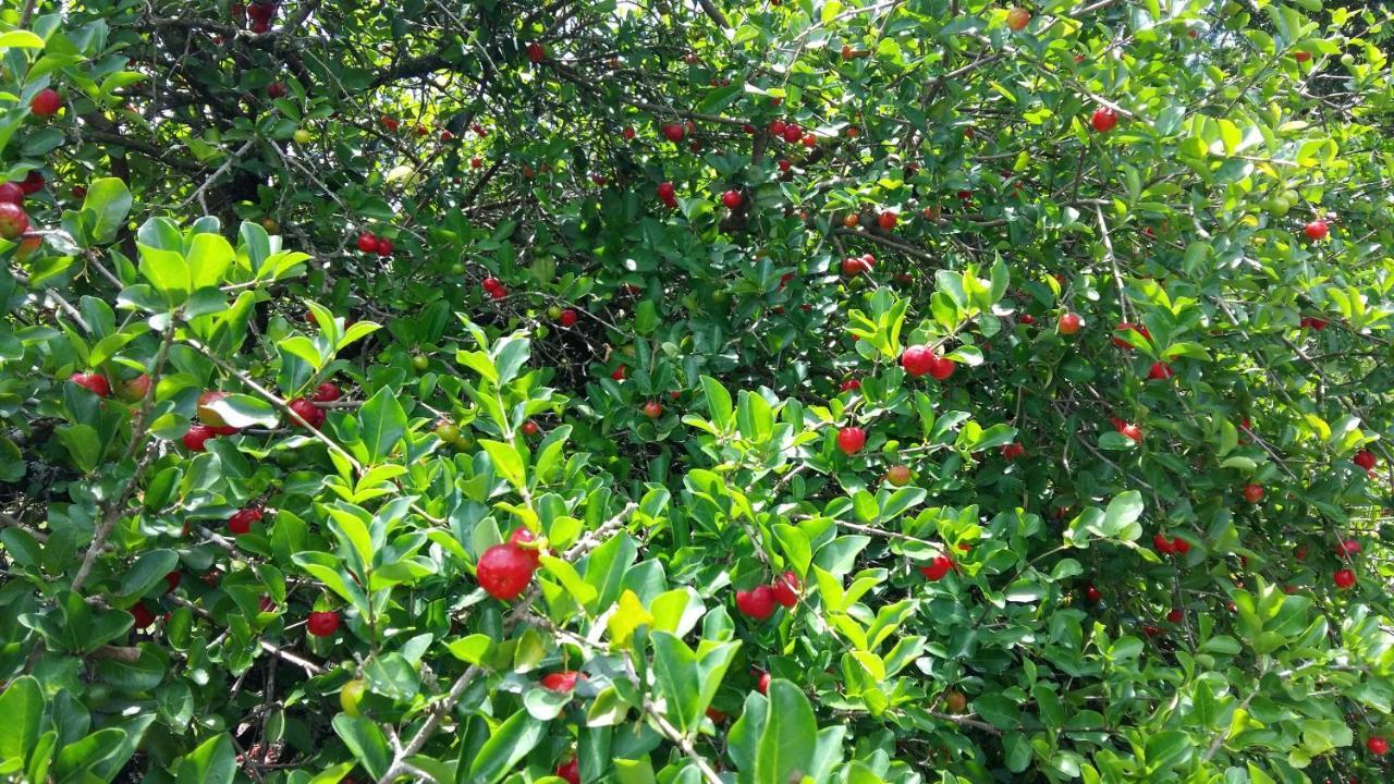 Rancho Litoral Armacao dos Buzios